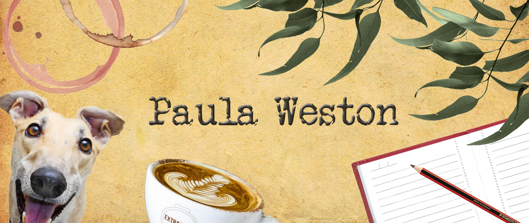 Paula Weston